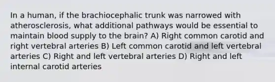 In a human, if the brachiocephalic trunk was narrowed with atherosclerosis, what additional pathways would be essential to maintain blood supply to <a href='https://www.questionai.com/knowledge/kLMtJeqKp6-the-brain' class='anchor-knowledge'>the brain</a>? A) Right common carotid and right vertebral arteries B) Left common carotid and left vertebral arteries C) Right and left vertebral arteries D) Right and left internal carotid arteries