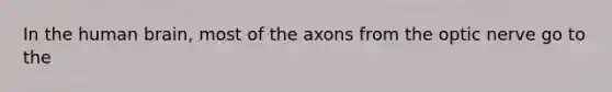 In the human brain, most of the axons from the optic nerve go to the