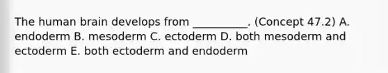 The human brain develops from __________. (Concept 47.2) A. endoderm B. mesoderm C. ectoderm D. both mesoderm and ectoderm E. both ectoderm and endoderm