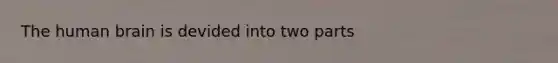 The human brain is devided into two parts