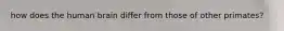 how does the human brain differ from those of other primates?