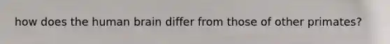 how does the human brain differ from those of other primates?