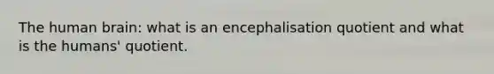 The human brain: what is an encephalisation quotient and what is the humans' quotient.