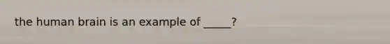 the human brain is an example of _____?