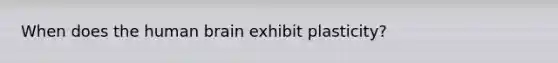 When does the human brain exhibit plasticity?