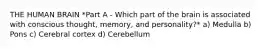 THE HUMAN BRAIN *Part A - Which part of the brain is associated with conscious thought, memory, and personality?* a) Medulla b) Pons c) Cerebral cortex d) Cerebellum