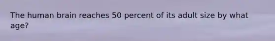 ​The human brain reaches 50 percent of its adult size by what age?