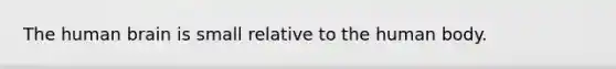 The human brain is small relative to the human body.