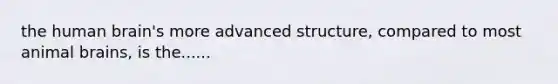 the human brain's more advanced structure, compared to most animal brains, is the......