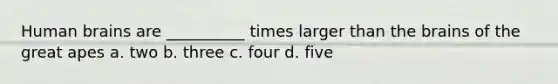 Human brains are __________ times larger than <a href='https://www.questionai.com/knowledge/kLMtJeqKp6-the-brain' class='anchor-knowledge'>the brain</a>s of the great apes a. two b. three c. four d. five