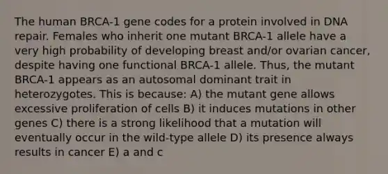 The human BRCA-1 gene codes for a protein involved in <a href='https://www.questionai.com/knowledge/kdWJhII4NB-dna-repair' class='anchor-knowledge'>dna repair</a>. Females who inherit one mutant BRCA-1 allele have a very high probability of developing breast and/or ovarian cancer, despite having one functional BRCA-1 allele. Thus, the mutant BRCA-1 appears as an autosomal dominant trait in heterozygotes. This is because: A) the mutant gene allows excessive proliferation of cells B) it induces mutations in other genes C) there is a strong likelihood that a mutation will eventually occur in the wild-type allele D) its presence always results in cancer E) a and c