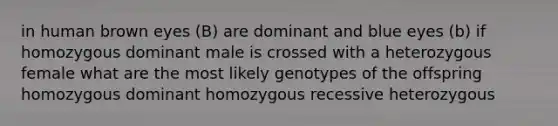 in human brown eyes (B) are dominant and blue eyes (b) if homozygous dominant male is crossed with a heterozygous female what are the most likely genotypes of the offspring homozygous dominant homozygous recessive heterozygous