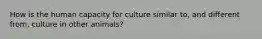 How is the human capacity for culture similar to, and different from, culture in other animals?