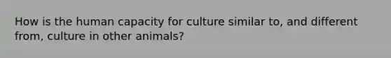 How is the human capacity for culture similar to, and different from, culture in other animals?