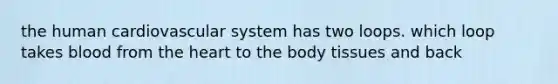 the human cardiovascular system has two loops. which loop takes blood from the heart to the body tissues and back