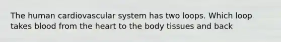 The human cardiovascular system has two loops. Which loop takes blood from the heart to the body tissues and back