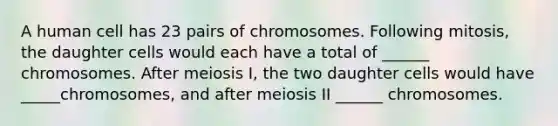 A human cell has 23 pairs of chromosomes. Following mitosis, the daughter cells would each have a total of ______ chromosomes. After meiosis I, the two daughter cells would have _____chromosomes, and after meiosis II ______ chromosomes.