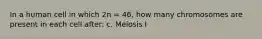 In a human cell in which 2n = 46, how many chromosomes are present in each cell after: c. Meiosis I