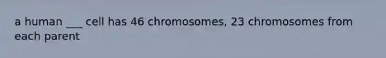 a human ___ cell has 46 chromosomes, 23 chromosomes from each parent