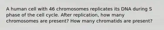 A human cell with 46 chromosomes replicates its DNA during S phase of the <a href='https://www.questionai.com/knowledge/keQNMM7c75-cell-cycle' class='anchor-knowledge'>cell cycle</a>. After replication, how many chromosomes are present? How many chromatids are present?