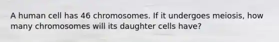 A human cell has 46 chromosomes. If it undergoes meiosis, how many chromosomes will its daughter cells have?