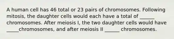 A human cell has 46 total or 23 pairs of chromosomes. Following mitosis, the daughter cells would each have a total of ______ chromosomes. After meiosis I, the two daughter cells would have _____chromosomes, and after meiosis II ______ chromosomes.