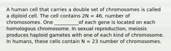 A human cell that carries a double set of chromosomes is called a diploid cell. The cell contains 2N = 46, number of chromosomes. One __________of each gene is located on each homologous chromosome. In sexual reproduction, meiosis produces haploid gametes with one of each kind of chromosome. In humans, these cells contain N = 23 number of chromosomes.