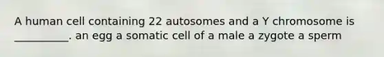 A human cell containing 22 autosomes and a Y chromosome is __________. an egg a somatic cell of a male a zygote a sperm