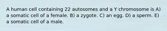 A human cell containing 22 autosomes and a Y chromosome is A) a somatic cell of a female. B) a zygote. C) an egg. D) a sperm. E) a somatic cell of a male.