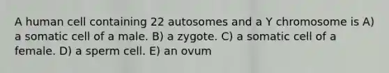 A human cell containing 22 autosomes and a Y chromosome is A) a somatic cell of a male. B) a zygote. C) a somatic cell of a female. D) a sperm cell. E) an ovum