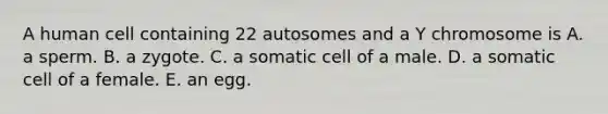 A human cell containing 22 autosomes and a Y chromosome is A. a sperm. B. a zygote. C. a somatic cell of a male. D. a somatic cell of a female. E. an egg.