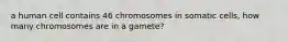 a human cell contains 46 chromosomes in somatic cells, how many chromosomes are in a gamete?