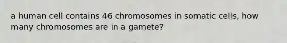 a human cell contains 46 chromosomes in somatic cells, how many chromosomes are in a gamete?