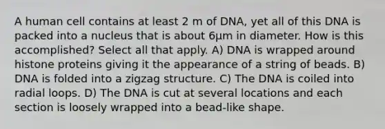 A human cell contains at least 2 m of DNA, yet all of this DNA is packed into a nucleus that is about 6μm in diameter. How is this accomplished? Select all that apply. A) DNA is wrapped around histone proteins giving it the appearance of a string of beads. B) DNA is folded into a zigzag structure. C) The DNA is coiled into radial loops. D) The DNA is cut at several locations and each section is loosely wrapped into a bead-like shape.