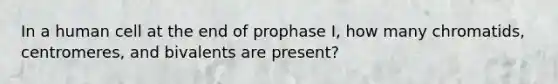 In a human cell at the end of prophase I, how many chromatids, centromeres, and bivalents are present?