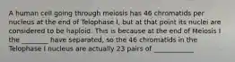 A human cell going through meiosis has 46 chromatids per nucleus at the end of Telophase I, but at that point its nuclei are considered to be haploid. This is because at the end of Meiosis I the ________ have separated, so the 46 chromatids in the Telophase I nucleus are actually 23 pairs of ____________