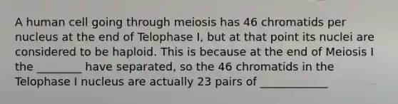 A human cell going through meiosis has 46 chromatids per nucleus at the end of Telophase I, but at that point its nuclei are considered to be haploid. This is because at the end of Meiosis I the ________ have separated, so the 46 chromatids in the Telophase I nucleus are actually 23 pairs of ____________