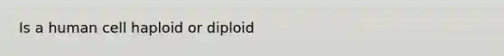 Is a human cell haploid or diploid