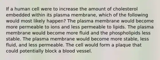 If a human cell were to increase the amount of cholesterol embedded within its plasma membrane, which of the following would most likely happen? The plasma membrane would become more permeable to ions and less permeable to lipids. The plasma membrane would become more fluid and the phospholipids less stable. The plasma membrane would become more stable, less fluid, and less permeable. The cell would form a plaque that could potentially block a blood vessel.