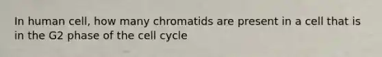 In human cell, how many chromatids are present in a cell that is in the G2 phase of the cell cycle