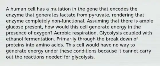 A human cell has a mutation in the gene that encodes the enzyme that generates lactate from pyruvate, rendering that enzyme completely non-functional. Assuming that there is ample glucose present, how would this cell generate energy in the presence of oxygen? Aerobic respiration. Glycolysis coupled with ethanol fermentation. Primarily through the break down of proteins into amino acids. This cell would have no way to generate energy under these conditions because it cannot carry out the reactions needed for glycolysis.