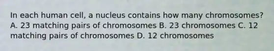 In each human cell, a nucleus contains how many chromosomes? A. 23 matching pairs of chromosomes B. 23 chromosomes C. 12 matching pairs of chromosomes D. 12 chromosomes