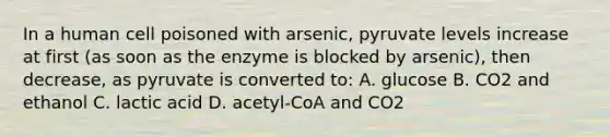 In a human cell poisoned with arsenic, pyruvate levels increase at first (as soon as the enzyme is blocked by arsenic), then decrease, as pyruvate is converted to: A. glucose B. CO2 and ethanol C. lactic acid D. acetyl-CoA and CO2