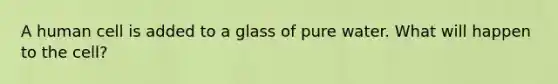 A human cell is added to a glass of pure water. What will happen to the cell?