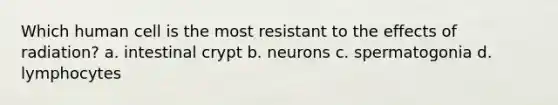 Which human cell is the most resistant to the effects of radiation? a. intestinal crypt b. neurons c. spermatogonia d. lymphocytes