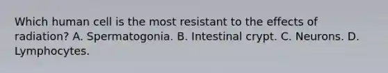 Which human cell is the most resistant to the effects of radiation? A. Spermatogonia. B. Intestinal crypt. C. Neurons. D. Lymphocytes.