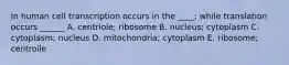 In human cell transcription occurs in the ____; while translation occurs ______ A. centriole; ribosome B. nucleus; cytoplasm C. cytoplasm; nucleus D. mitochondria; cytoplasm E. ribosome; centroile