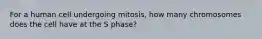 For a human cell undergoing mitosis, how many chromosomes does the cell have at the S phase?