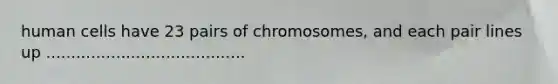 human cells have 23 pairs of chromosomes, and each pair lines up ........................................