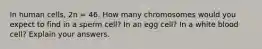 In human cells, 2n = 46. How many chromosomes would you expect to find in a sperm cell? In an egg cell? In a white blood cell? Explain your answers.